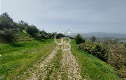Bolu/Göynük/Ekincilerde Köy Girişinde Satılık 2593 M2 Tarla