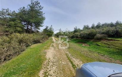 Bolu/Göynük/Ekincilerde Köy Girişinde Satılık 2593 M2 Tarla