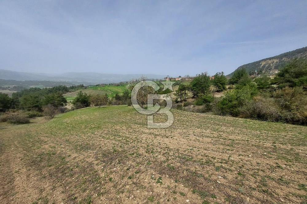 Bolu/Göynük/Ekincilerde Köy Girişinde Satılık 2593 M2 Tarla