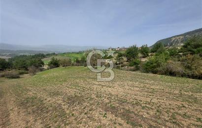 Bolu/Göynük/Ekincilerde Köy Girişinde Satılık 2593 M2 Tarla