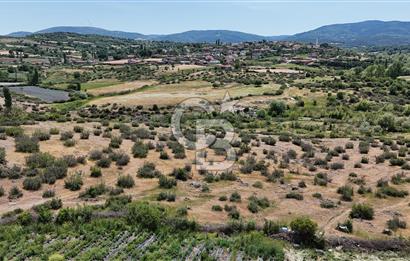 YENİCE KOVANCI SATILIK İMARLI ARSA