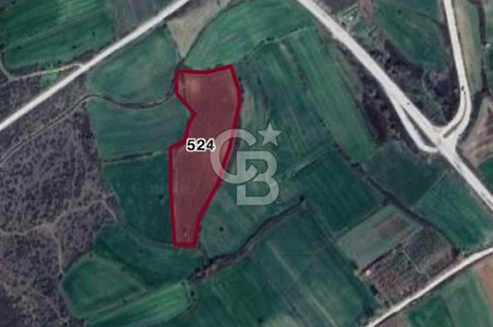 ÇANAKKALE ÇAN DURALİ KÖYÜ SATILIK TARLA