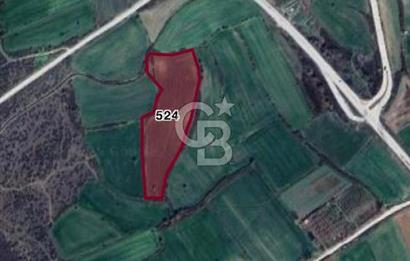 ÇANAKKALE ÇAN DURALİ KÖYÜ SATILIK TARLA