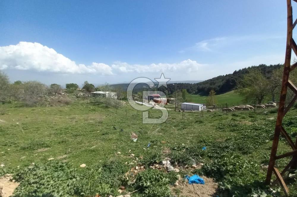 ÇANAKKALE ULUPINAR KÖY MERKEZİNDE SATILIK İMARLI ARSA