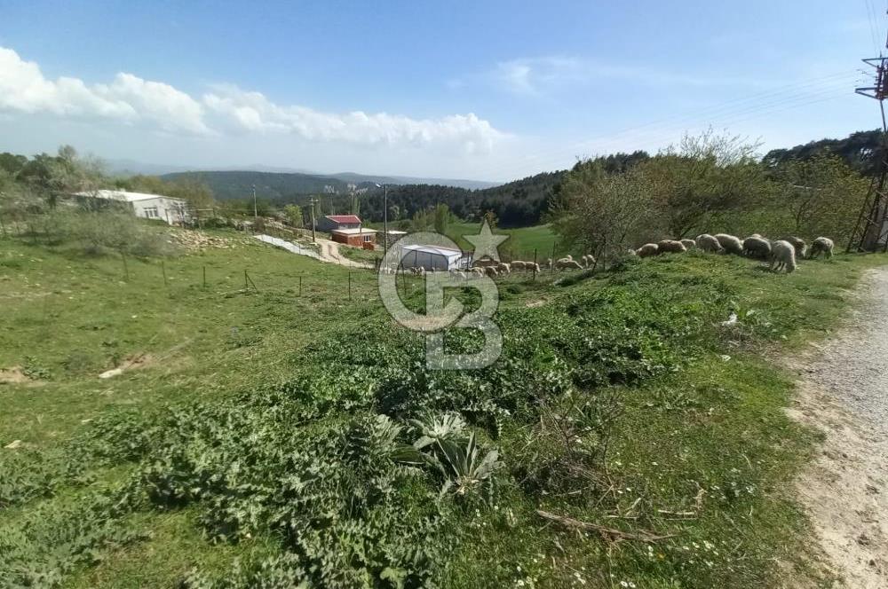 ÇANAKKALE ULUPINAR KÖY MERKEZİNDE SATILIK İMARLI ARSA
