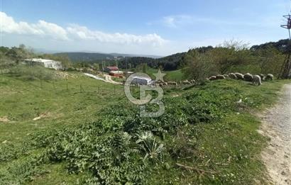 ÇANAKKALE ULUPINAR KÖY MERKEZİNDE SATILIK İMARLI ARSA