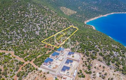CB ARDENDEN KAŞ BELENLİDE SATILIK TARLA