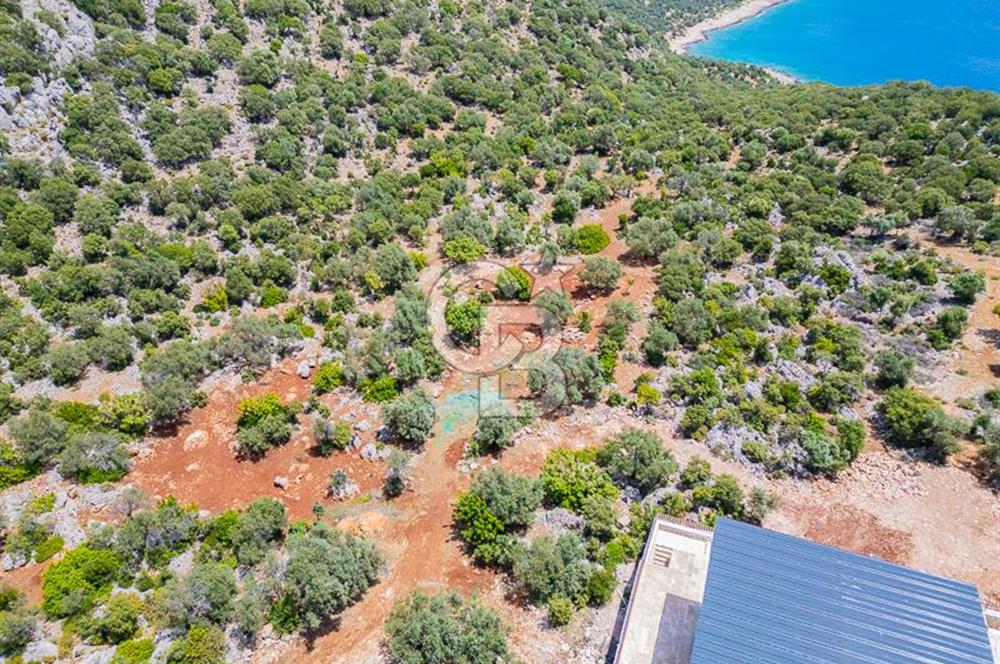 CB ARDENDEN KAŞ BELENLİDE SATILIK TARLA