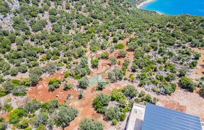 CB ARDENDEN KAŞ BELENLİDE SATILIK TARLA