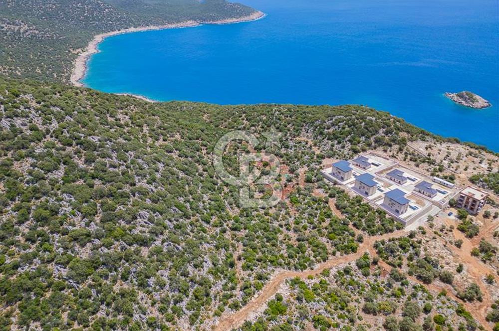 CB ARDENDEN KAŞ BELENLİDE SATILIK TARLA
