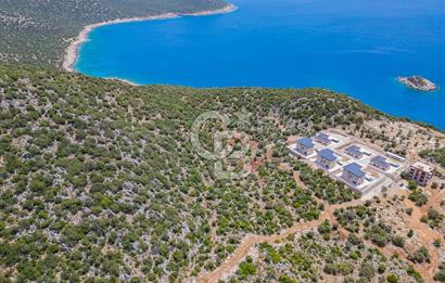 CB ARDENDEN KAŞ BELENLİDE SATILIK TARLA