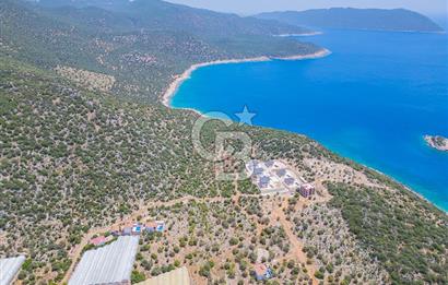 CB ARDENDEN KAŞ BELENLİDE SATILIK TARLA