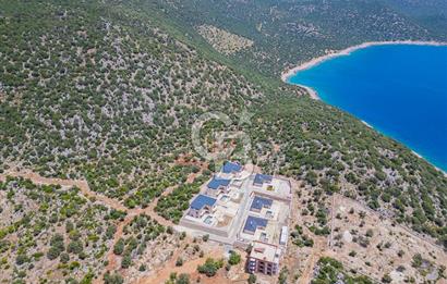 CB ARDENDEN KAŞ BELENLİDE SATILIK TARLA