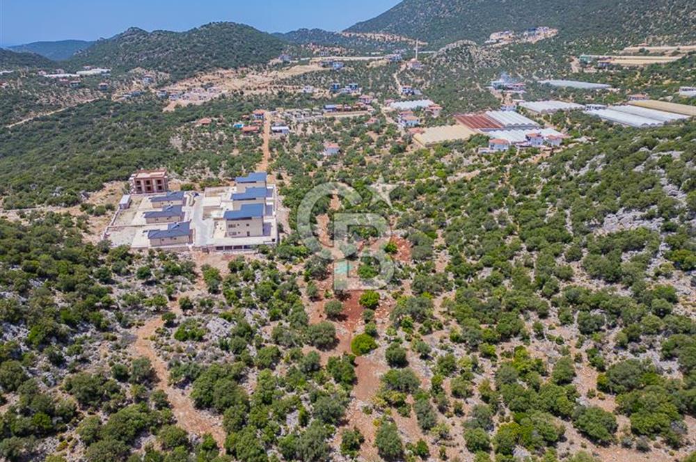 CB ARDENDEN KAŞ BELENLİDE SATILIK TARLA