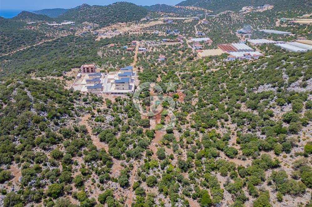 CB ARDENDEN KAŞ BELENLİDE SATILIK TARLA