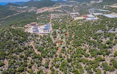 CB ARDENDEN KAŞ BELENLİDE SATILIK TARLA