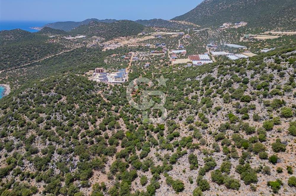 CB ARDENDEN KAŞ BELENLİDE SATILIK TARLA