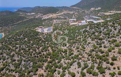 CB ARDENDEN KAŞ BELENLİDE SATILIK TARLA