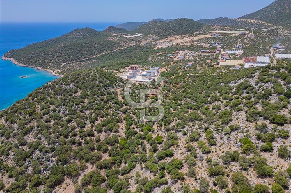 CB ARDENDEN KAŞ BELENLİDE SATILIK TARLA