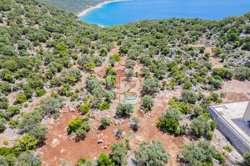 CB ARDENDEN KAŞ BELENLİDE SATILIK TARLA