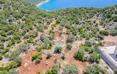 CB ARDENDEN KAŞ BELENLİDE SATILIK TARLA