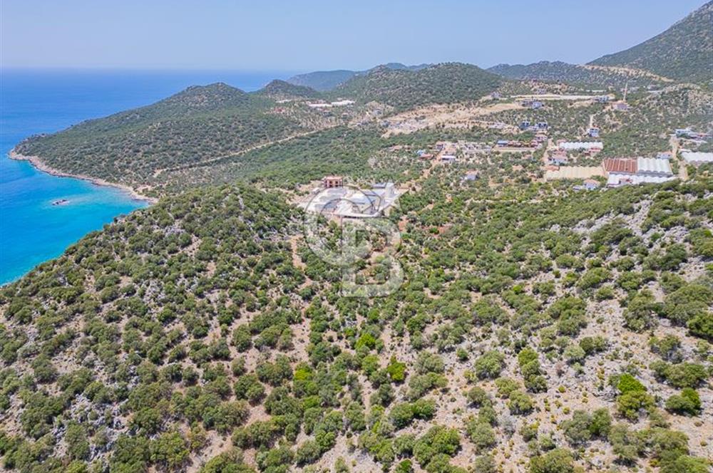 CB ARDENDEN KAŞ BELENLİDE SATILIK TARLA