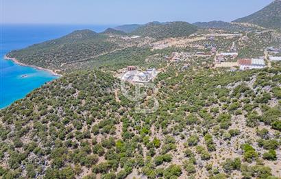 CB ARDENDEN KAŞ BELENLİDE SATILIK TARLA