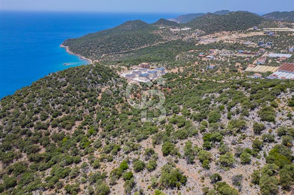 CB ARDENDEN KAŞ BELENLİDE SATILIK TARLA