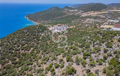CB ARDENDEN KAŞ BELENLİDE SATILIK TARLA