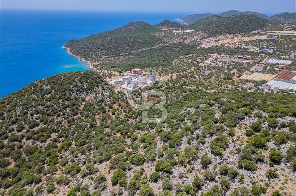 CB ARDENDEN KAŞ BELENLİDE SATILIK TARLA