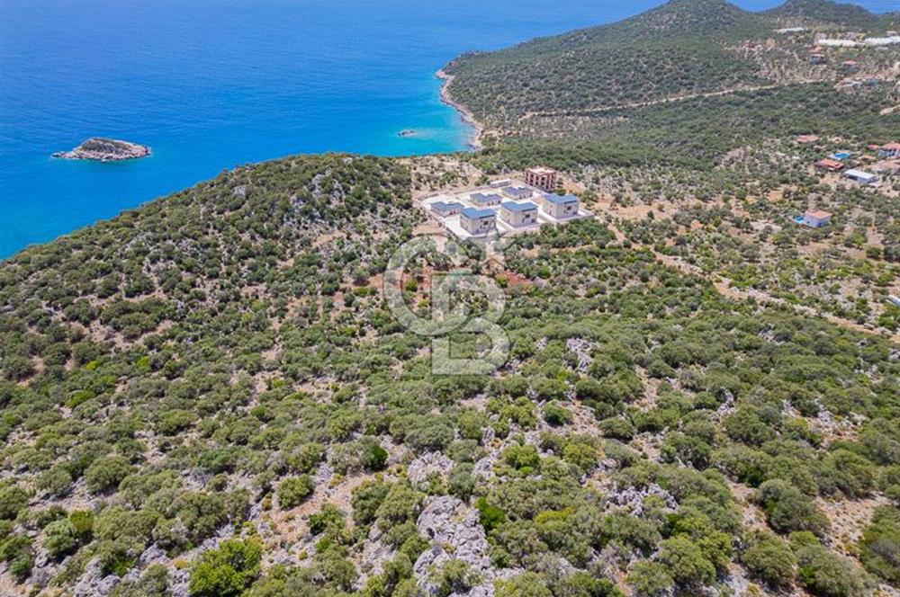 CB ARDENDEN KAŞ BELENLİDE SATILIK TARLA