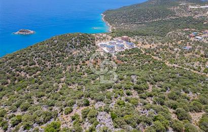 CB ARDENDEN KAŞ BELENLİDE SATILIK TARLA