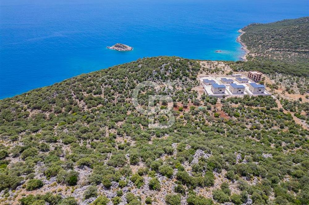 CB ARDENDEN KAŞ BELENLİDE SATILIK TARLA