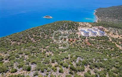 CB ARDENDEN KAŞ BELENLİDE SATILIK TARLA