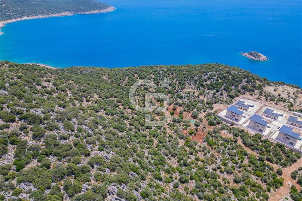CB ARDENDEN KAŞ BELENLİDE SATILIK TARLA