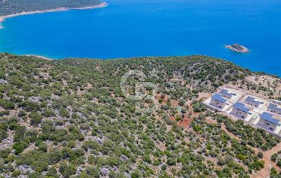 CB ARDENDEN KAŞ BELENLİDE SATILIK TARLA