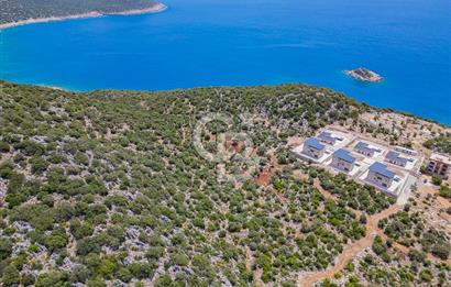 CB ARDENDEN KAŞ BELENLİDE SATILIK TARLA