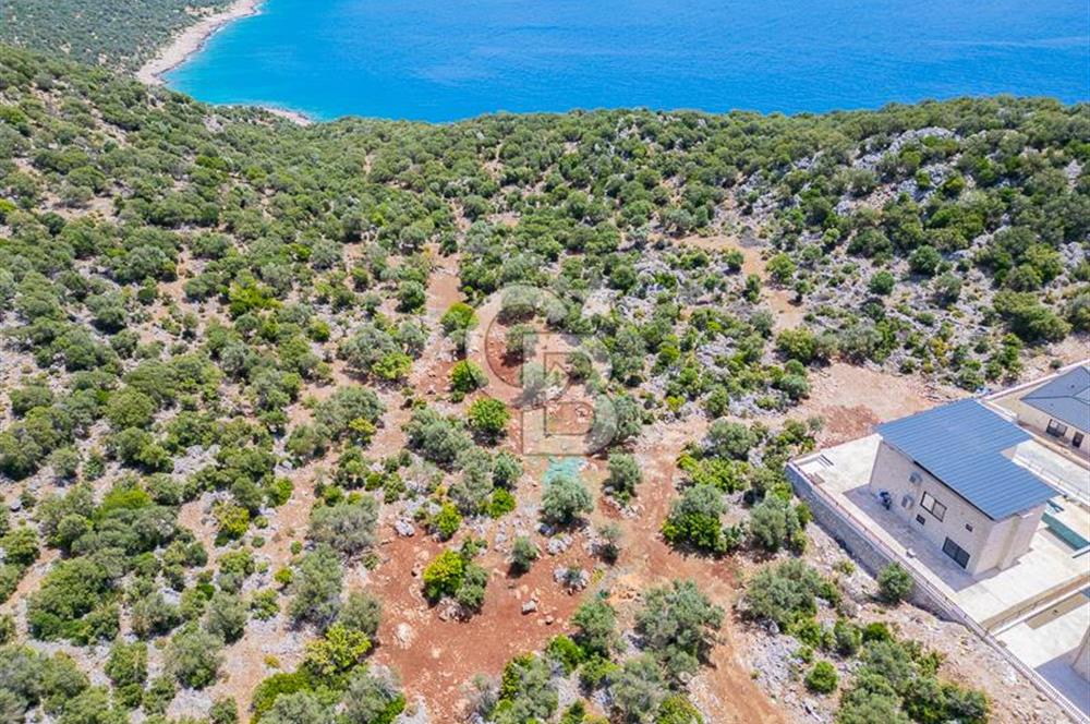 CB ARDENDEN KAŞ BELENLİDE SATILIK TARLA
