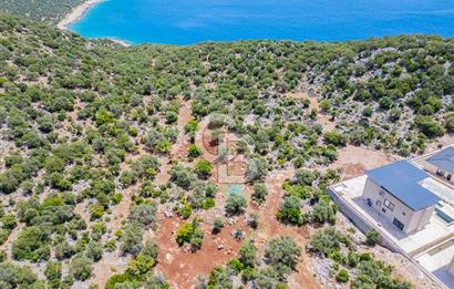 CB ARDENDEN KAŞ BELENLİDE SATILIK TARLA