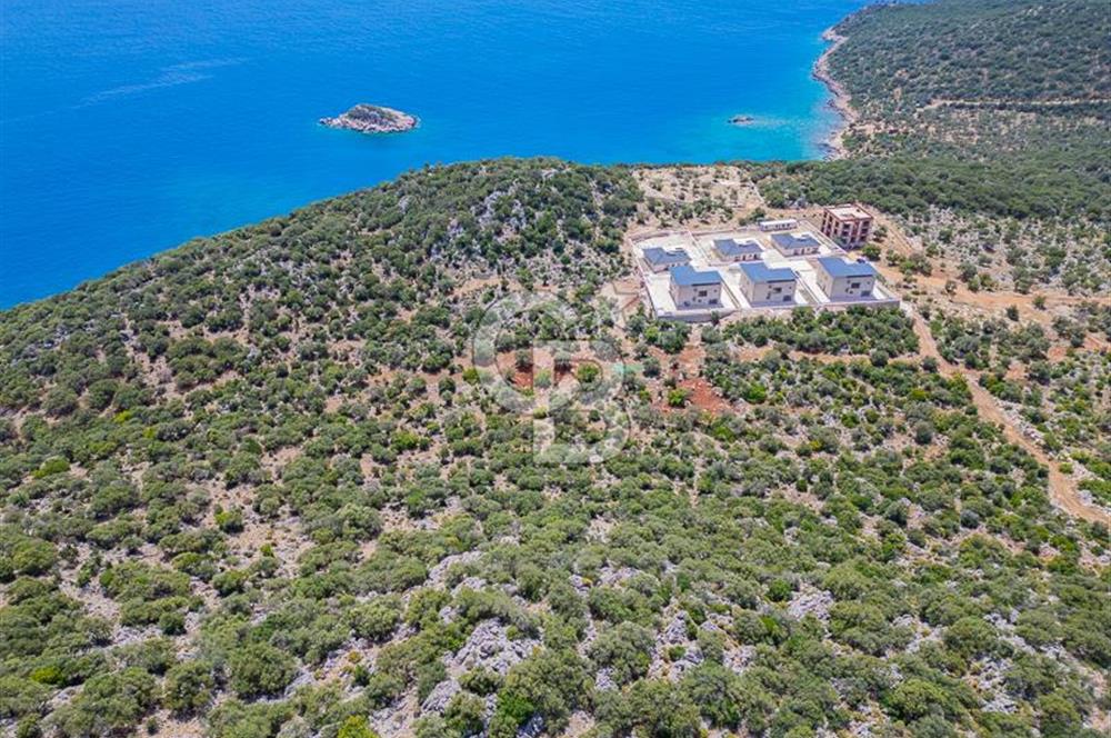 CB ARDENDEN KAŞ BELENLİDE SATILIK TARLA