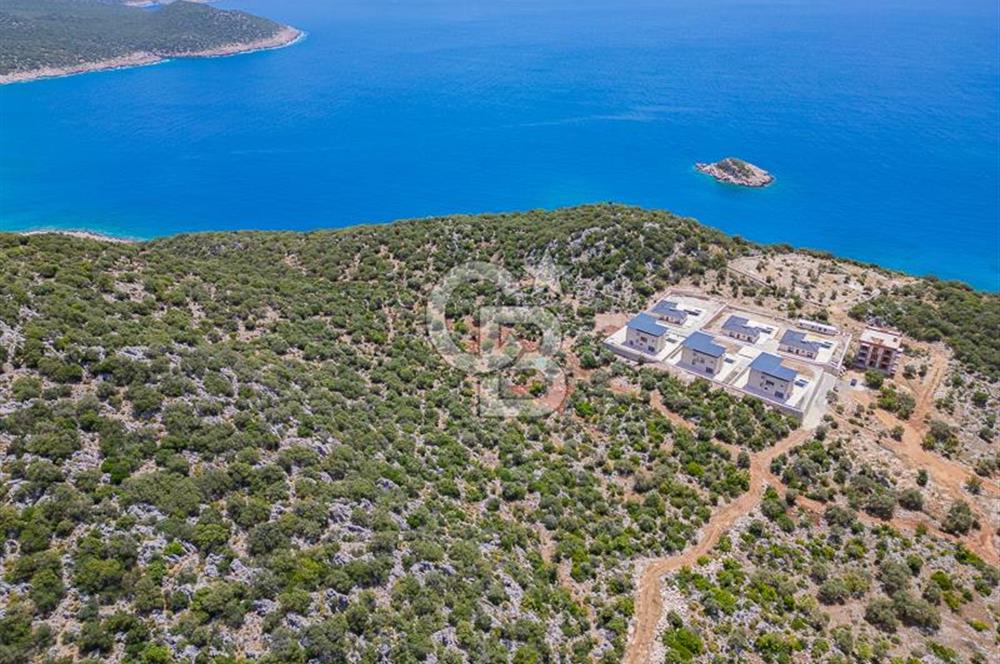 CB ARDENDEN KAŞ BELENLİDE SATILIK TARLA