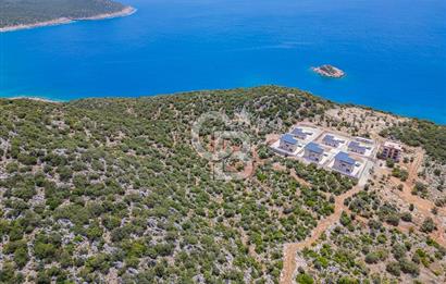 CB ARDENDEN KAŞ BELENLİDE SATILIK TARLA