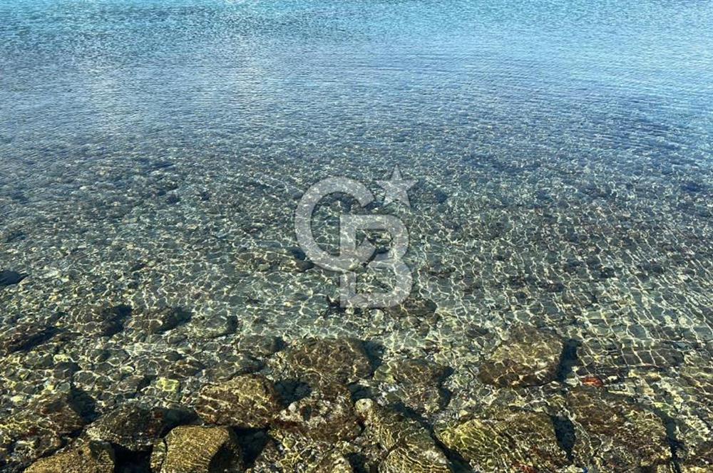 Çeşmede Denize sıfır sitede kiralık