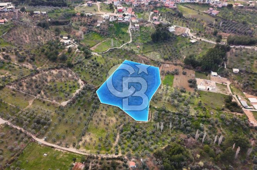 İMAR SINIRINA YAKIN SATILIK TARLA