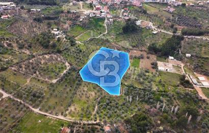 İMAR SINIRINA YAKIN SATILIK TARLA