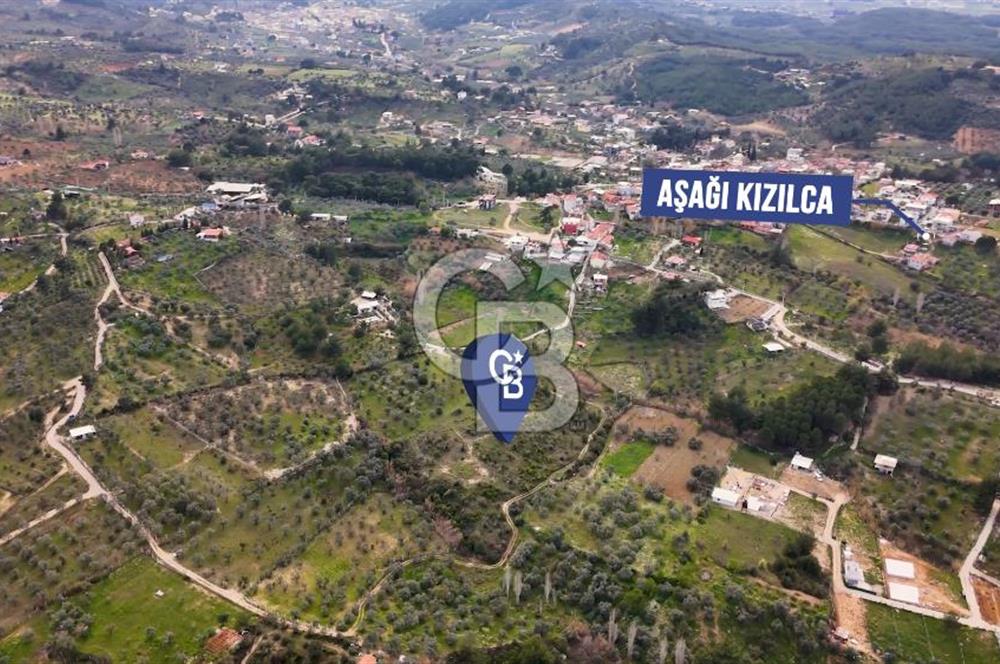 İMAR SINIRINA YAKIN SATILIK TARLA