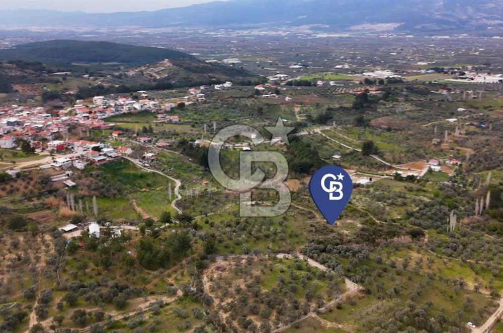 İMAR SINIRINA YAKIN SATILIK TARLA