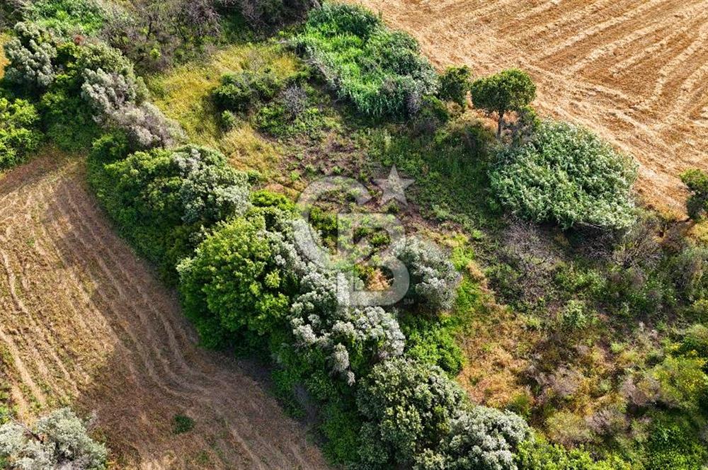 Datça Kızlan'da Turizm Planında Satılık 952 m² İncirli Tarla