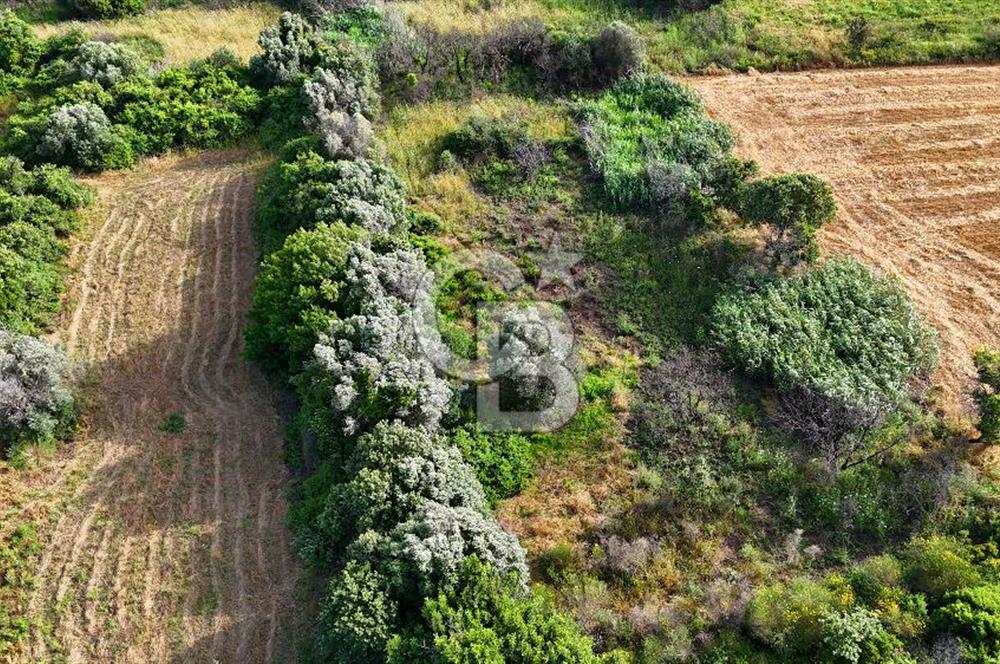 Datça Kızlan'da Turizm Planında Satılık 952 m² İncirli Tarla