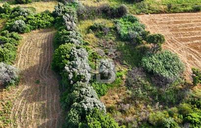 Datça Kızlan'da Turizm Planında Satılık 952 m² İncirli Tarla